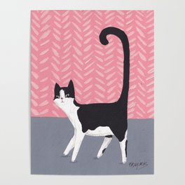 Tuxedo Cat Against Pink Wall Poster