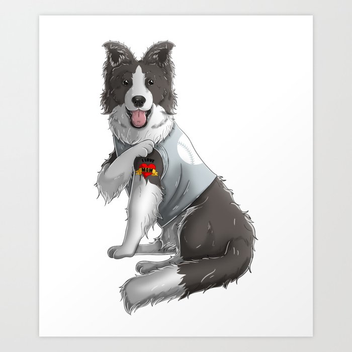 Border Collie Dog with Smooth Collie Dog available as Framed Prints,  Photos, Wall Art and Photo Gifts