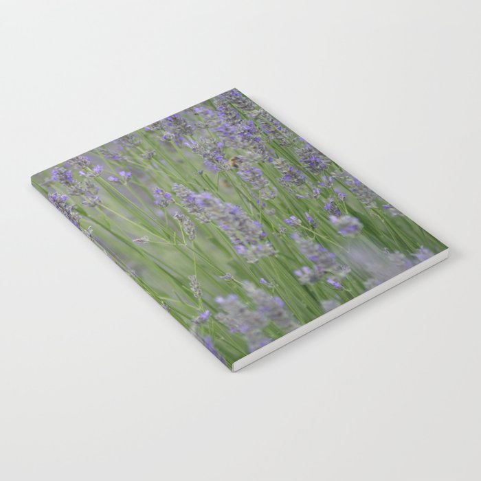 A Blur Of Beautiful Lavender Flowers Photograph Notebook