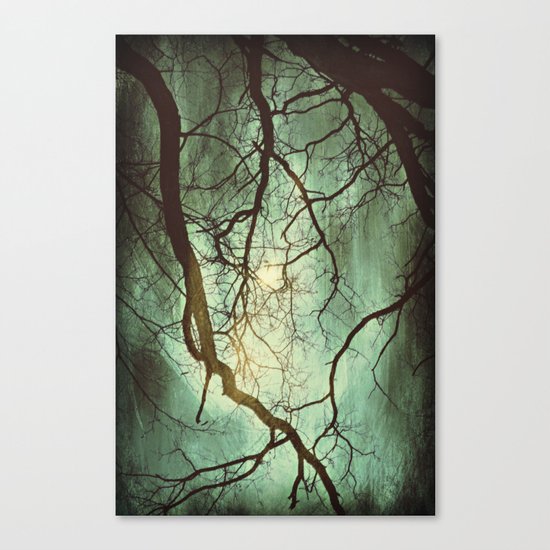 Earth's Moon Canvas Print