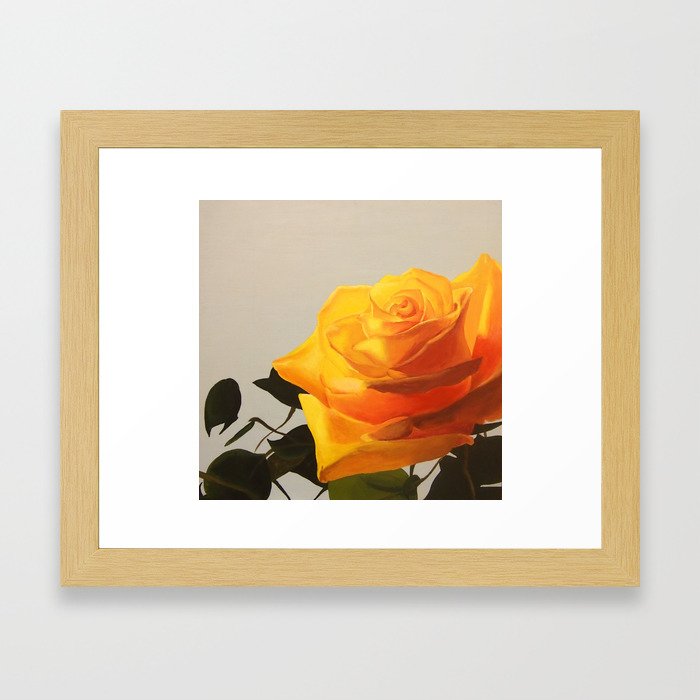 Yellow Rose Framed Art Print