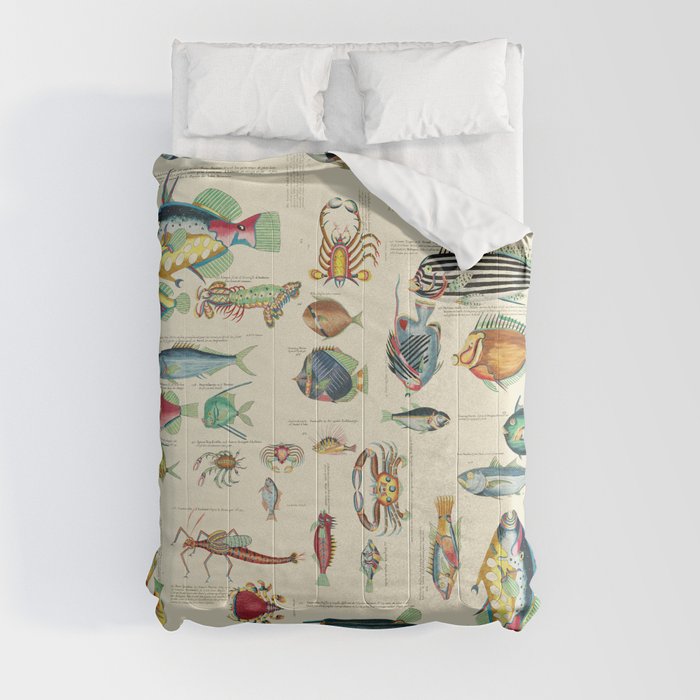Multicolor  Vintage Fish And Sea Life Illustration Comforter