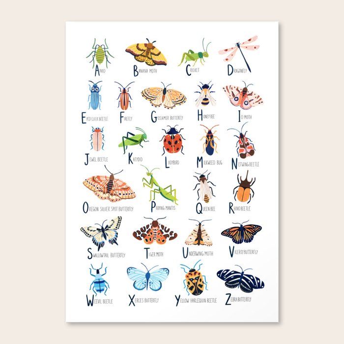 洋楽 bugs in amber rocketship letters 洋楽 bugs in amber rocketship letters 洋楽 bugs in amber