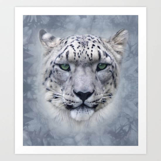 snow leopard Art Print