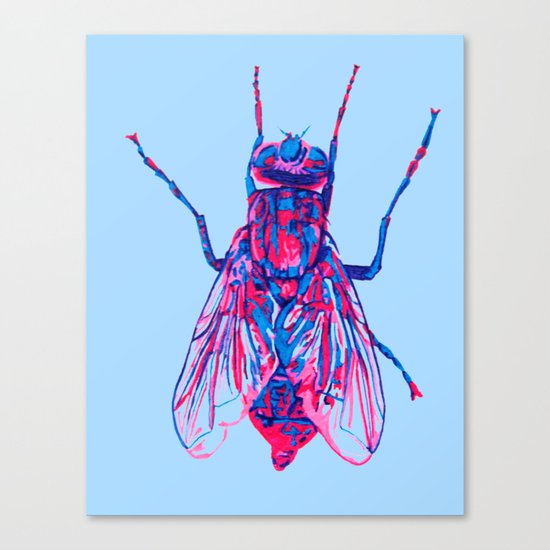 House Fly Canvas Print