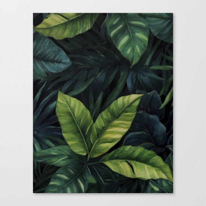 Mysterious Tropical Rainforest Jungle Night Canvas Print
