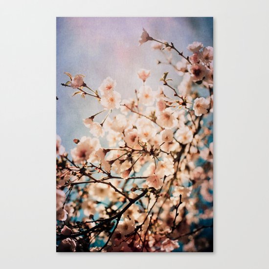 Spring Romance Canvas Print