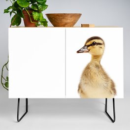 Duckling, Farm Animals, Art for Kids, Baby Animals Art Print By Synplus Credenza