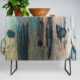 Eucalyptus Tree Bark and Wood Abstract Natural Texture 61 Credenza