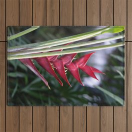 Exotic Red Helicon Flower Outdoor Rug