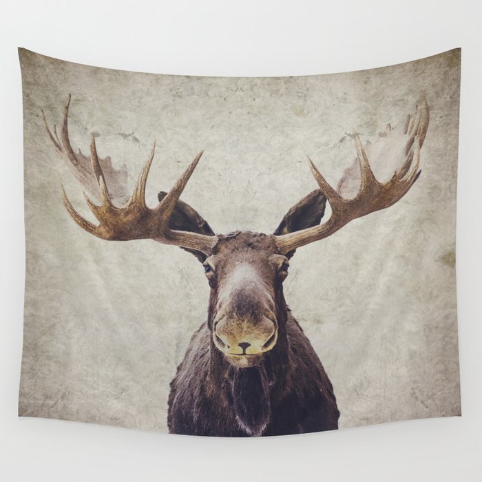 Moose tapestry new arrivals