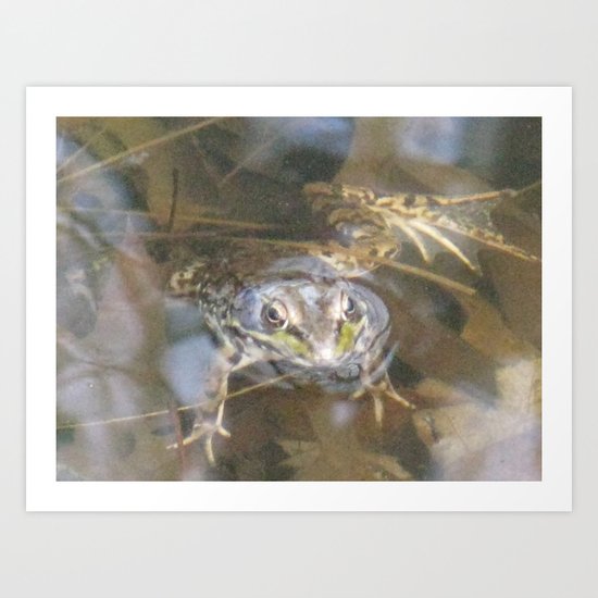 Come On In, The Water's Fine Art Print