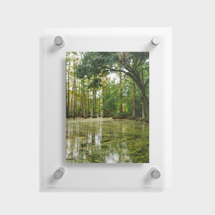 Charleston Cypress Gardens XXXII Floating Acrylic Print