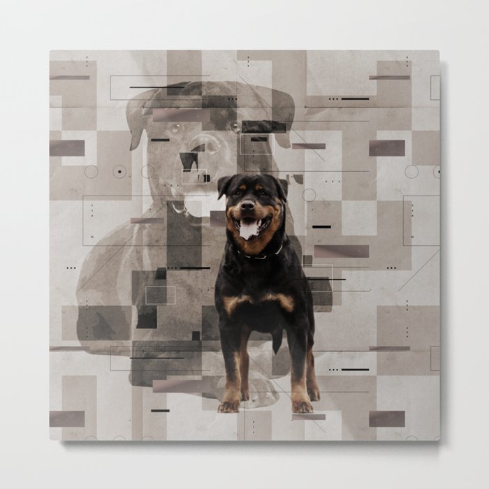 Rottweiler  - Metzgerhund Digital Art Metal Print