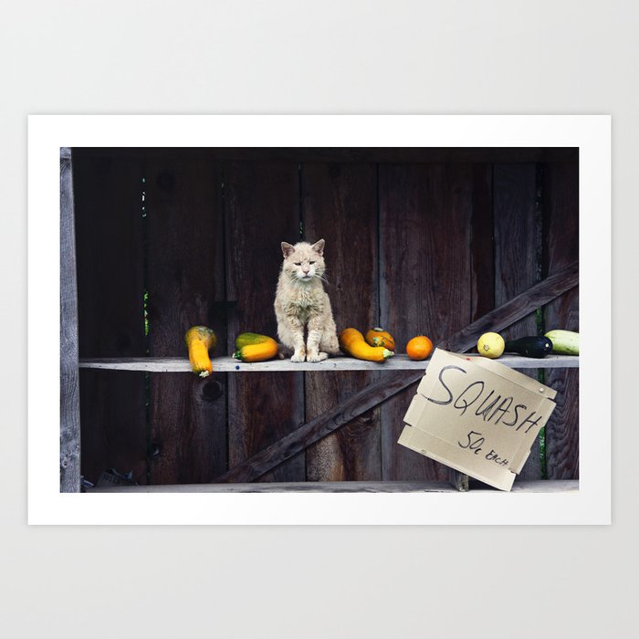 Autumn Cat With Squash Art Print By Mollysmuses Society6