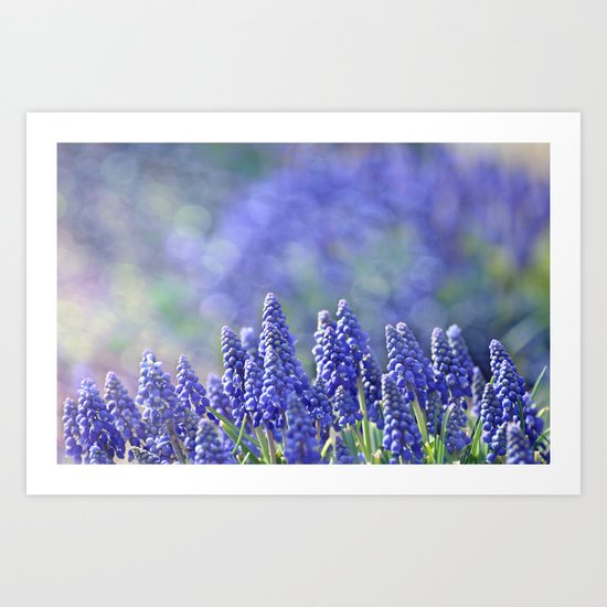 Morning Light Art Print