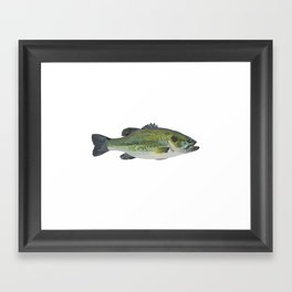 Bass Framed Art Print