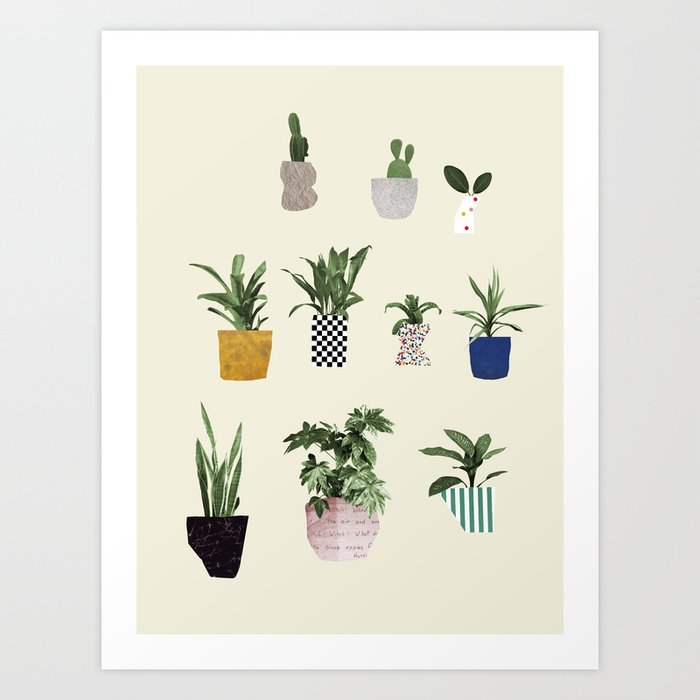 Discover the motif HOUSE PLANTS by Beth Hoeckel as a print at TOPPOSTER