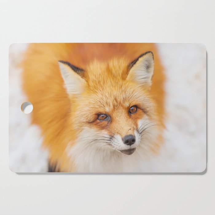 Japanese red fox resting, sleeping and playing in the white snow forest background in Japan Cutting Board