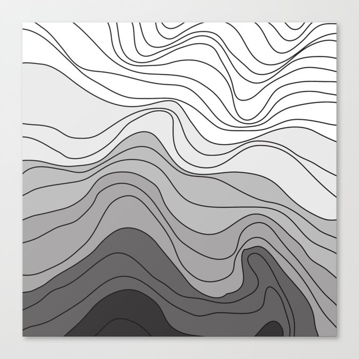 Topo III Canvas Print