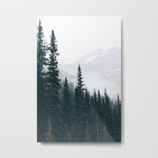 Evergreens in the fog Metal Print