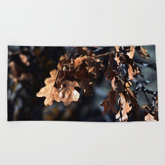Winter oak leaves Beach Towel