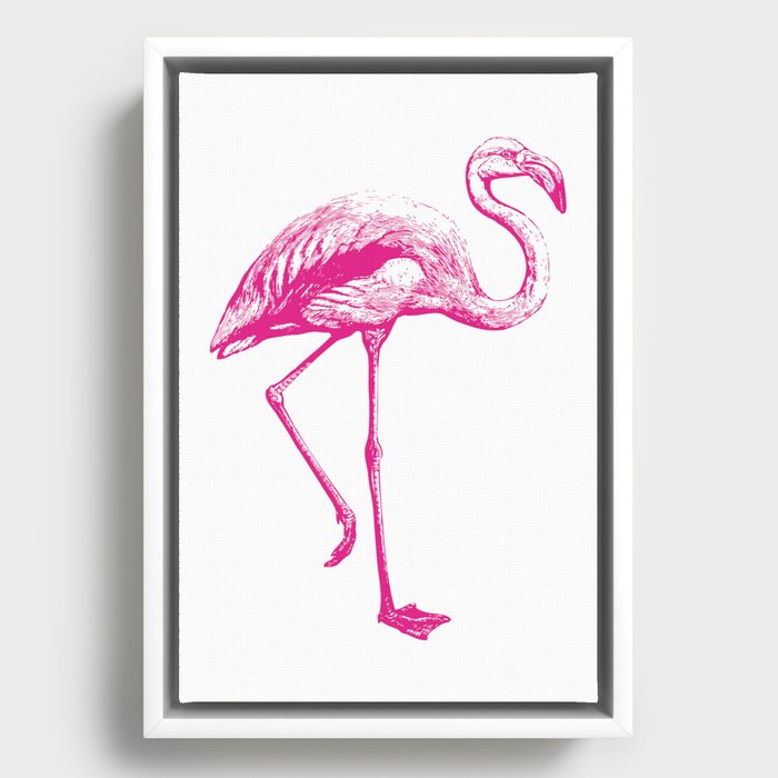 Flamingo | Pink Flamingo | Framed Canvas