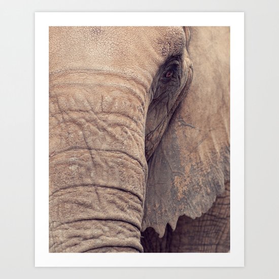 elephant Art Print