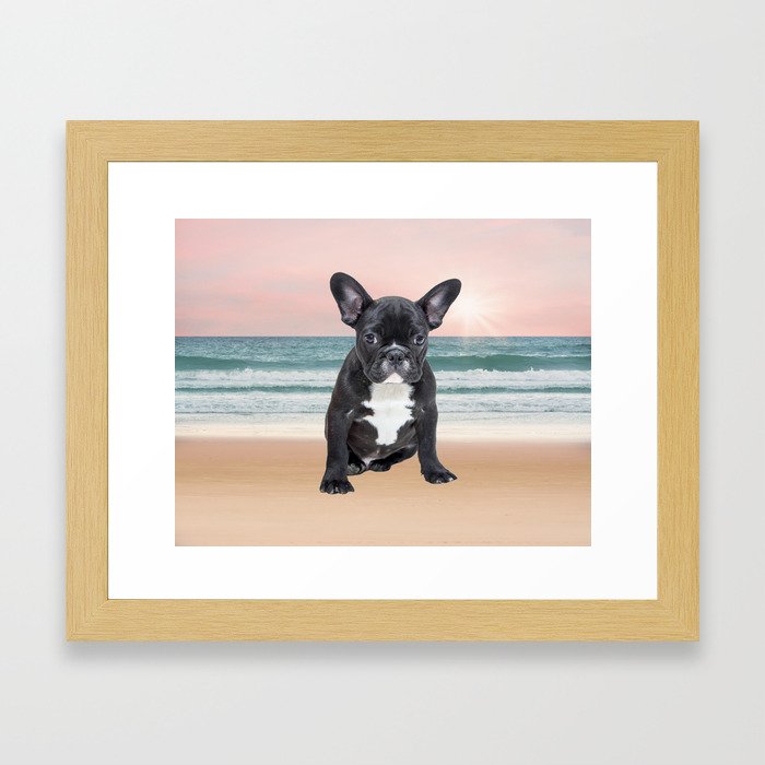 Cute French Bulldog Beach Sun Water Framed Art Print