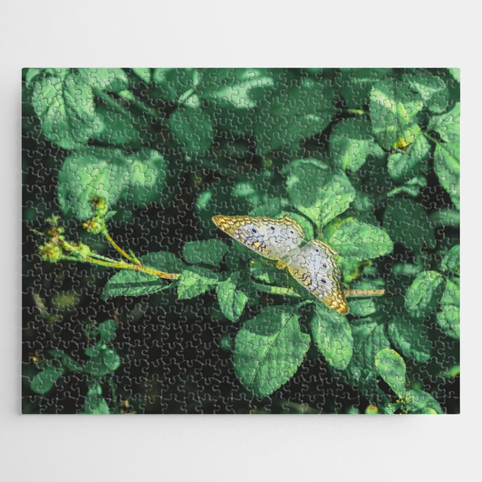Butterfly on Green Jigsaw Puzzle