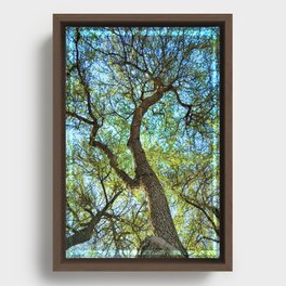 Branching Framed Canvas