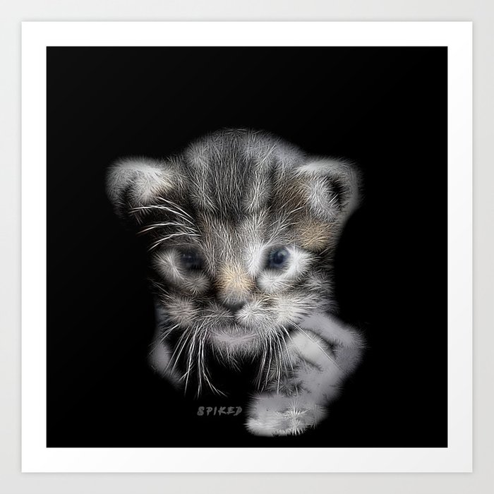 Spiked Grey Kitten Art Print