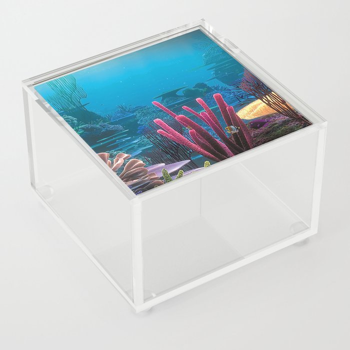 sea turtle Acrylic Box