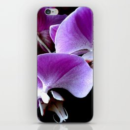 Orchids iPhone Skin