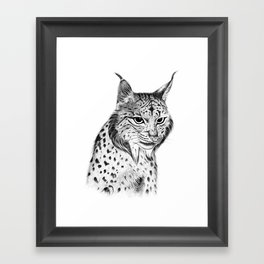 Iberian Lynx B/N Framed Art Print