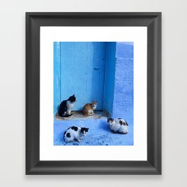 Cats in Chefchaouen Framed Art Print