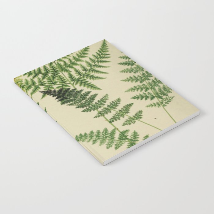 Botanical Ferns Notebook