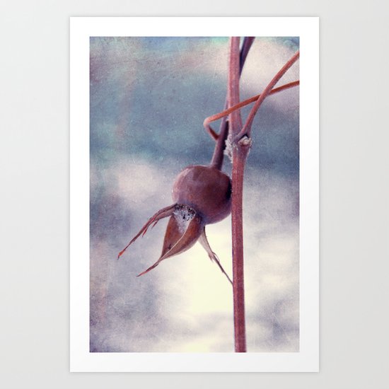 captured Art Print