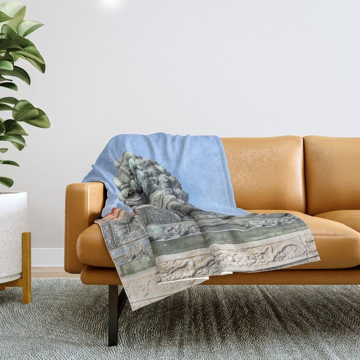 Imperial Guardian Lion, Beijing Throw Blanket