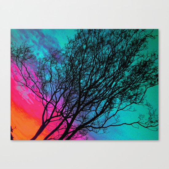 Behind The ol' Crape Myrtle Canvas Print