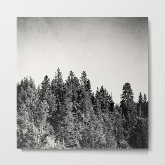 trees Metal Print
