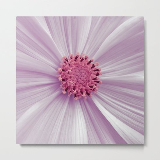 cosmos pastel I Metal Print