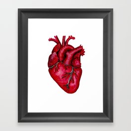 Anatomical Heart Painting Red Framed Art Print