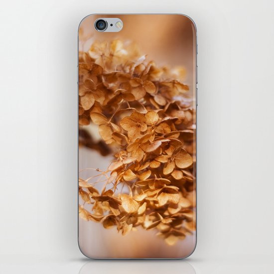 Winter Hydrangea iPhone & iPod Skin