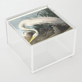 White Heron from Birds of America (1827) by John James Audubon  Acrylic Box