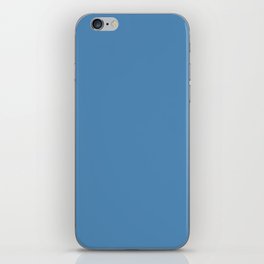 Hideout Blue iPhone Skin
