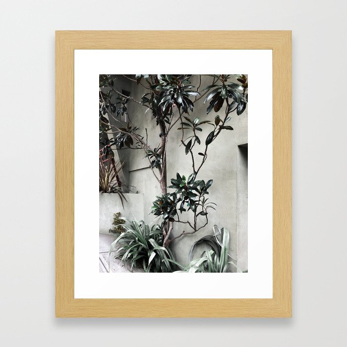 San Francisco Plants Framed Art Print