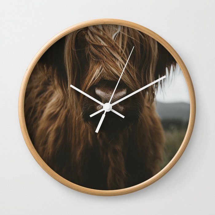 Animal Photography - Scottish Highland Cattle Wall Clock