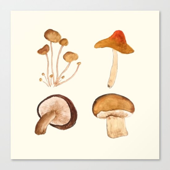 mushroom watercolor painting Canvas Print