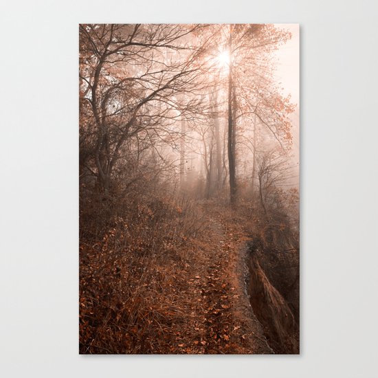 Misty Sun Kissed Trail Canvas Print